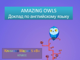 Amazing owls. Owls are a birds of prey