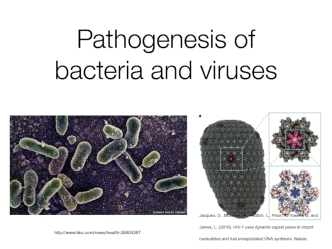 Pathogenesis of bacteria and viruses