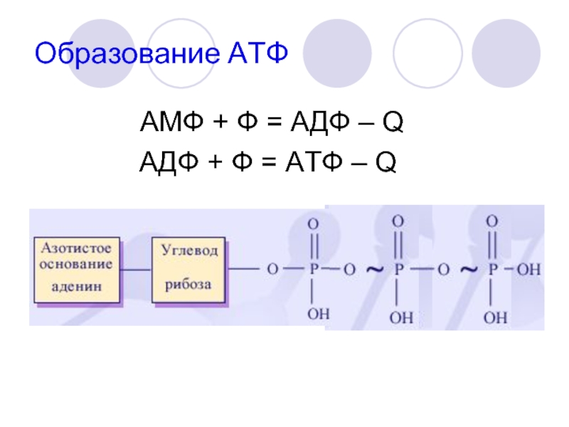 Какого цвета атф