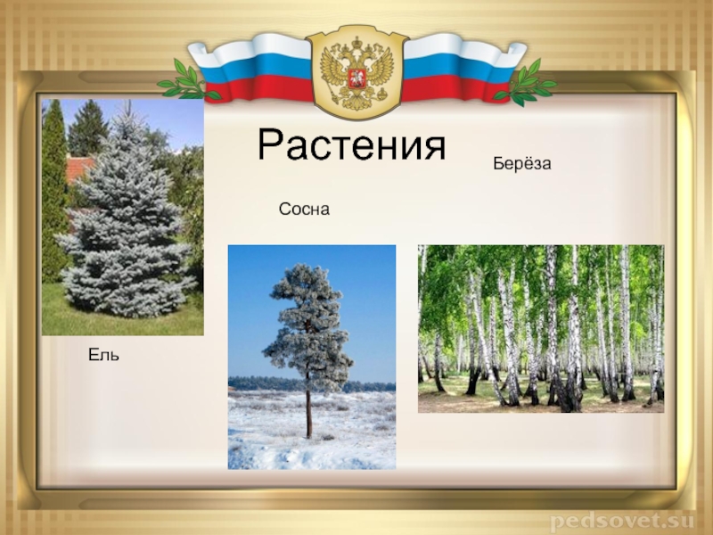 Презентация урал мой край родной для дошкольников