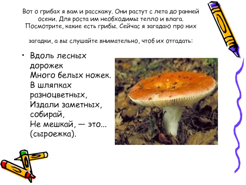 Доклад по теме Биология грибов