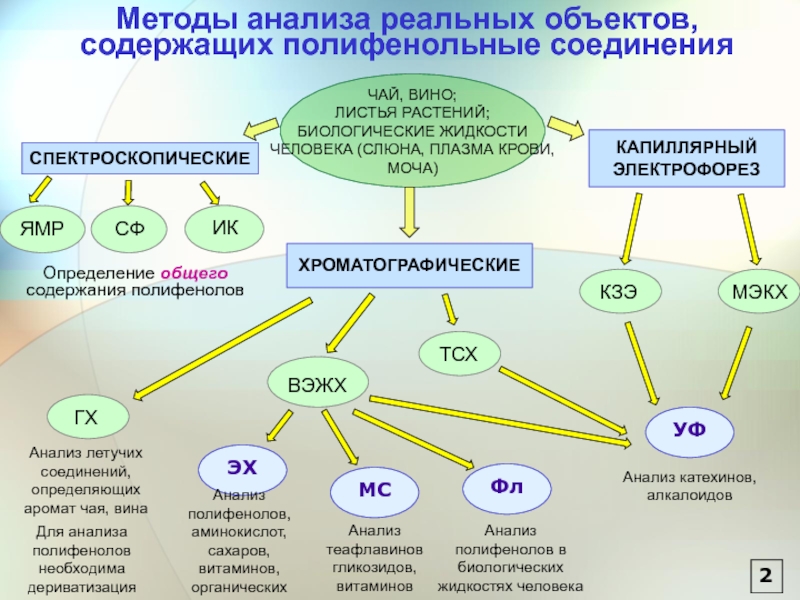 Методы анализа объектов. Полифенольные соединения классификация. Схема полифенола. Основная структура полифенолов. Полифенольные соединения что это и для чего.