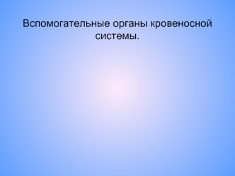 Вспомогательные органы кровеносной системы.