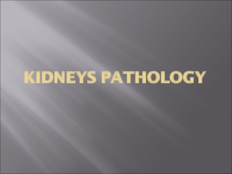 Kidneys pathology. (Subject 17)