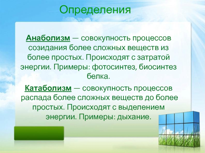 Совокупность процессов. Анаболизм это совокупность процессов. Фотосинтез это анаболизм или катаболизм. Совокупность процессов происхождения. Созидательные процессы это в биологии.