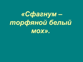 Сфагнум – торфяной белый мох.