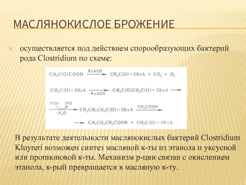 Маслянокислое брожение это