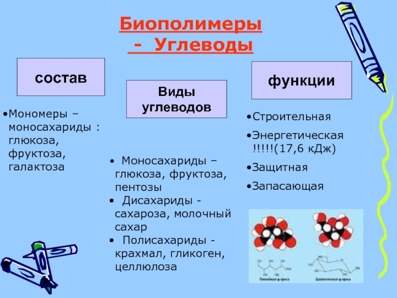 Система биополимеров. Биополимеры углеводы структура и функции. Полимеры схема биополимеры. Биополимеры полисахариды. Виды биополимеров.