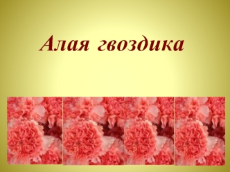 Алая гвоздика