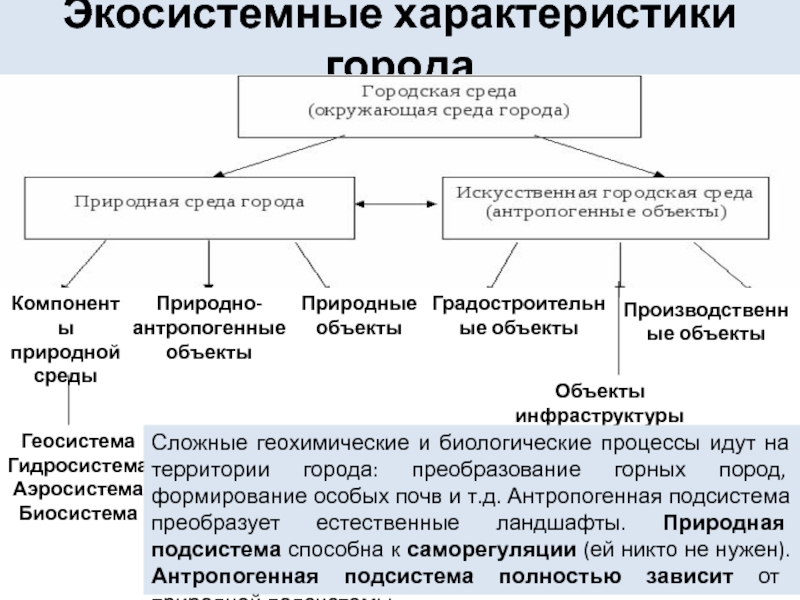 Биосфера Экосистема Реферат