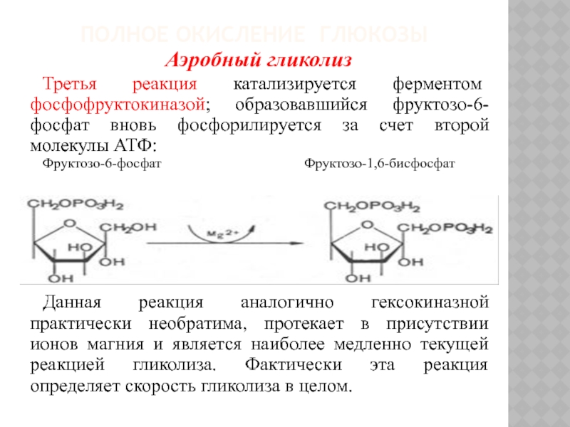 Продукты образующиеся при гликолизе