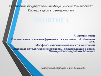 Анатомия кожи. Физиология и основные функции кожи и слизистой оболочки рта. Морфологические элементы кожных сыпей