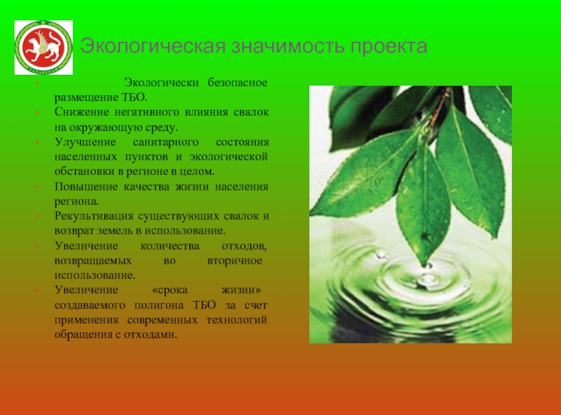 Значение окружающей среды. Экологическая значимость. Экологическая значимость проекта. Экологические ценности. Ценности экологического проекта.