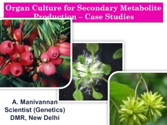 Organ Culture for Secondary Metabolite Production – Case Studies