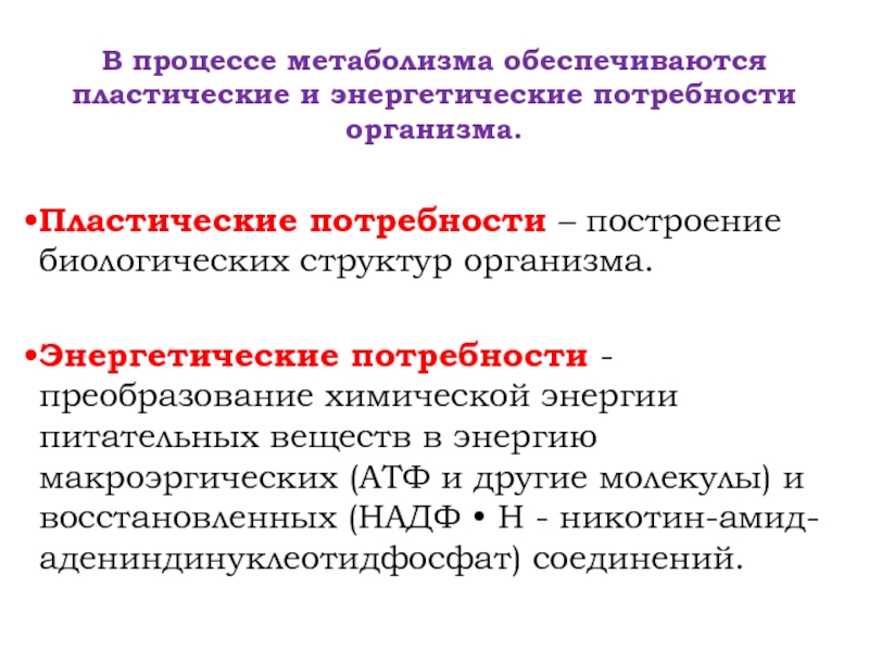 Обеспечивают обмен веществ и газов