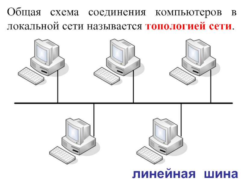 Данная схема подключения компьютеров в сети называется