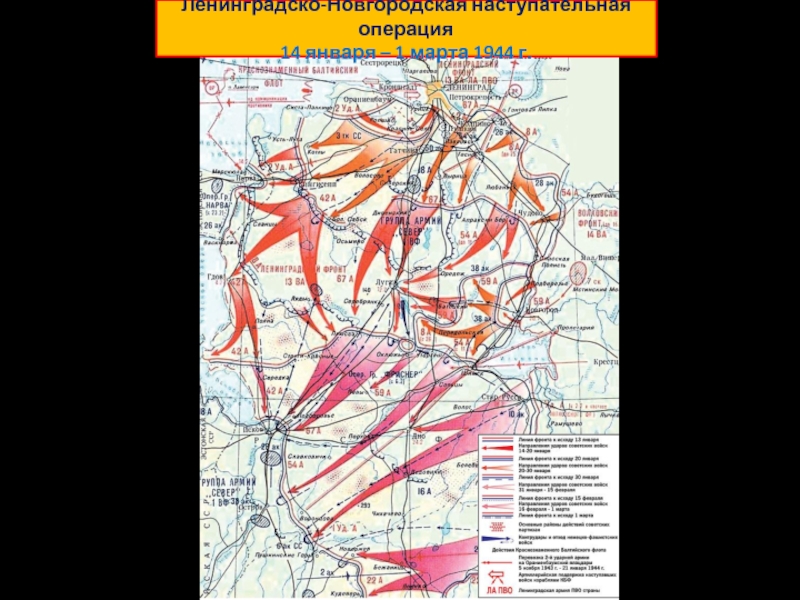 Ленинградско новгородская операция презентация