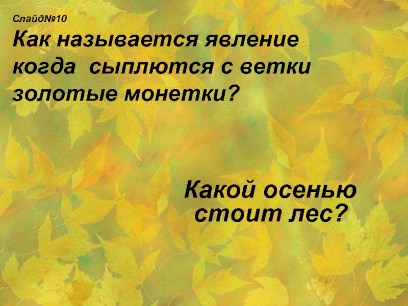 Текст стоит осенний день везде. Сыплет золотые монетки какое дерево. Падают с ветки золотые монетки. Как называется явление когда спадают листья. Маленький Теск на тему очень в лесу с синонимами.