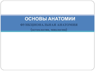 Функциональная анатомия (остеология, миология)