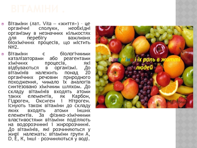 Курсовая работа по теме Роль вітамінів в харчуванні людини