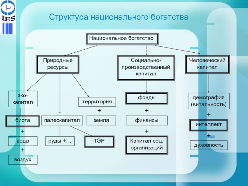 Национальное богатство структура и факторы роста презентация