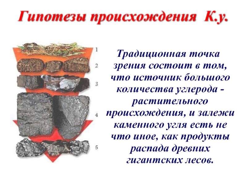 К какой группе относится каменный уголь. Схема образования каменного угля. Формирование каменного угля. Образование каменного угля 5 класс биология. Процесс образования каменного угля.
