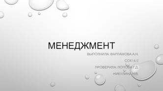 Основные понятия теории менеджмента