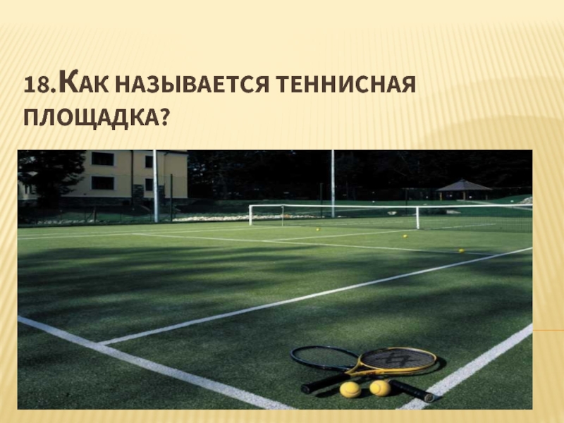 Теннисная площадка как называется. Как называется площадка большой теннис. Как называется теннисный.