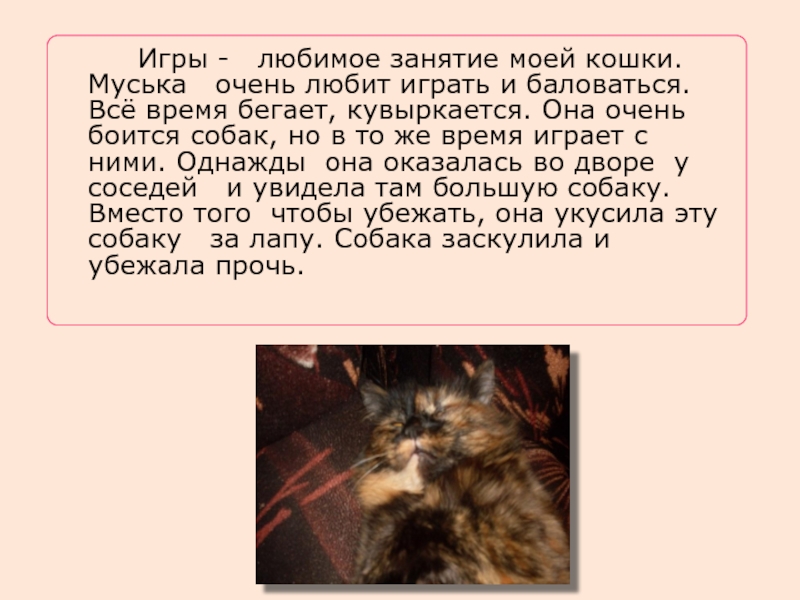 Текст описание про кошку 2 класс