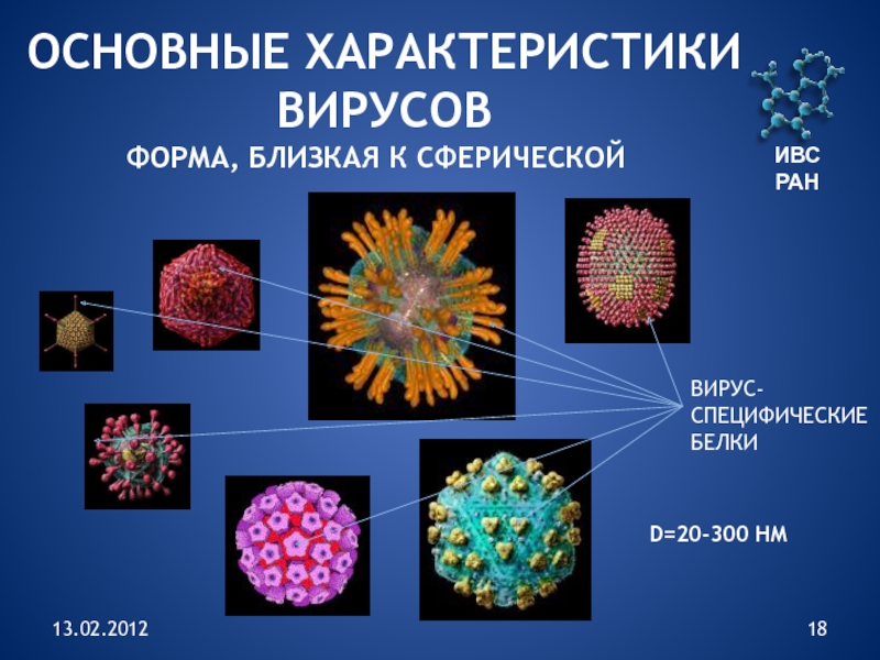 Представители вирусов 5 класс биология. Формы вирусов. Оыбщая характеристика вирус. Разнообразие форм вирусов. Строение различных вирусов.
