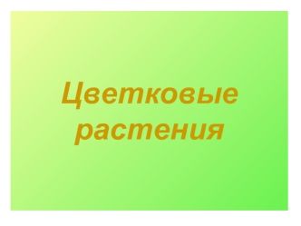 Цветковые растения