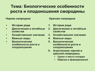 Биологические особенности роста и плодоношения смородины