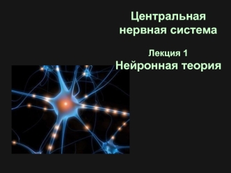 Центральная нервная система. Нейронная теория