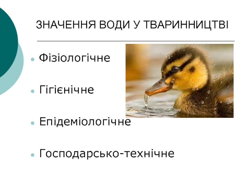 Реферат: Фізіологічне та гігієнічне значення води Гігієнічні вимоги до питної води