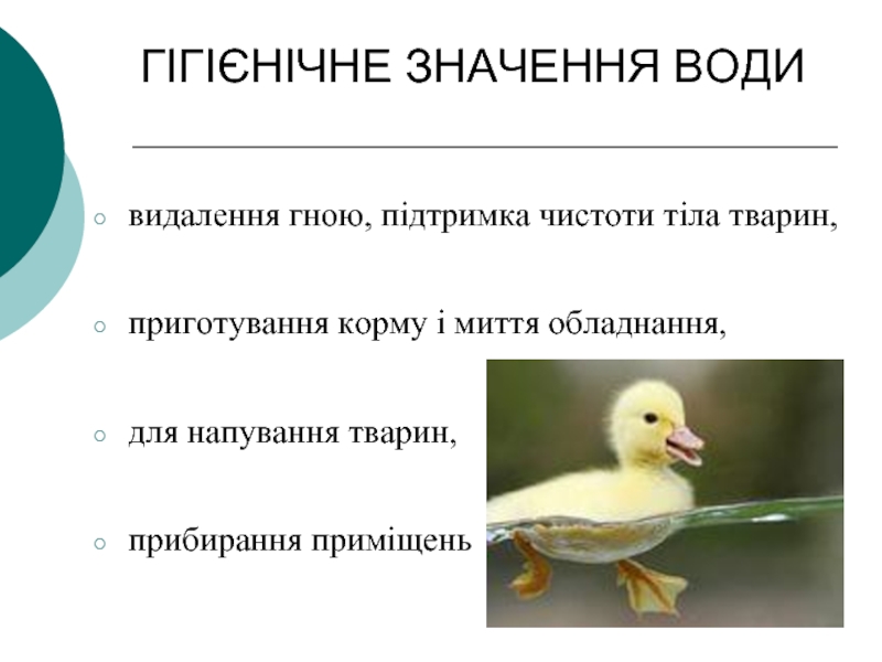 Реферат: Фізіологічне та гігієнічне значення води Гігієнічні вимоги до питної води