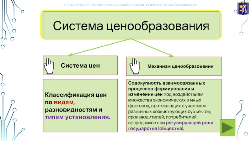 Субъекты производителя. Воздействие государства на процесс ценообразования. Виды типы подвиды множества.