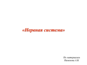 Нервная система