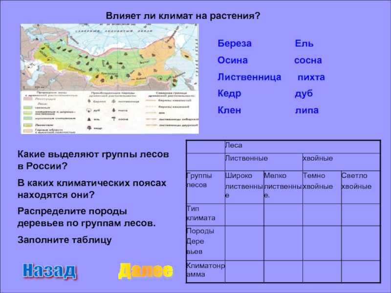 В каком климатическом поясе находится полуостров калифорния. Влияние климата на растительность. Влияние растений на климат. Взаимосвязь типов почв с климатом и растительностью. Взаимосвязь типов почв с климатом и растительностью таблица.