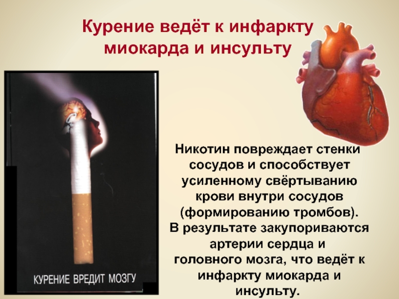 Бросил курить сосуды. Курение ведёт к инфаркту миокарда и инсульту.. Влияние курения на сердце. Курение и заболевания сердца.