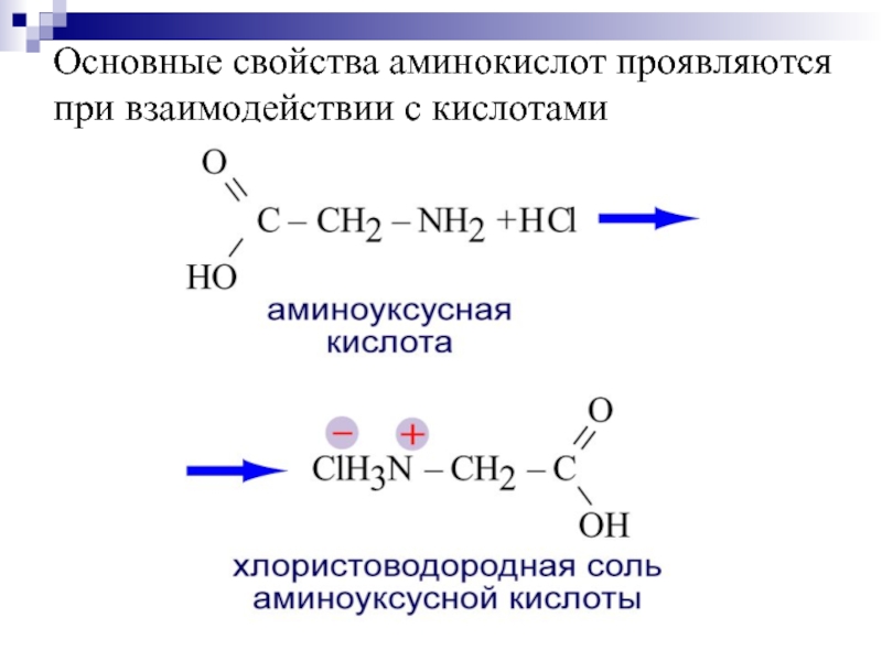 Свойства аминов кислотами. Состав и номенклатура аминокислот. Основные свойства аминокислот. Основные свойства ами. Основные свойства Аминов.
