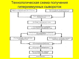 Технологическая схема получения гипериммунных сывороток