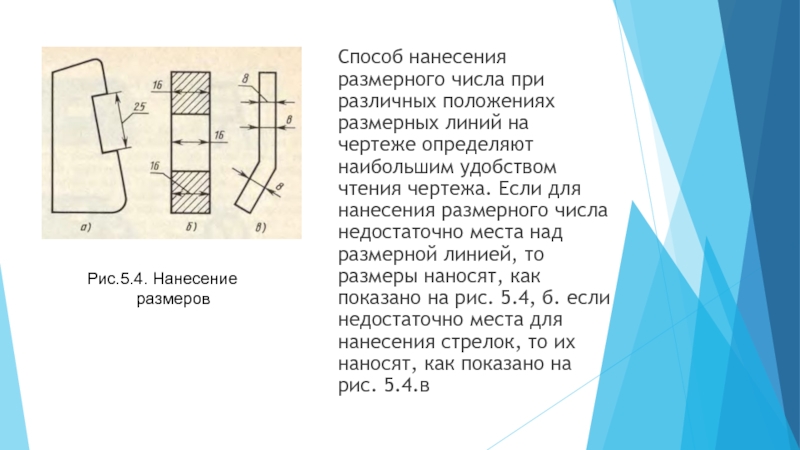 Размерные числа показывают действительную величину изделия и не зависят от масштаба изображения