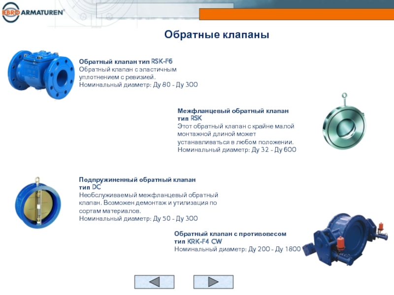 Обратные клапаны диаметр. Клапан обратный RSK ду200. Обратный клапан Тип chv11h. Обратный клапан ПВХ для воды межфланцевый Ду 80. Обратный клапан с противовесом Ду 300.