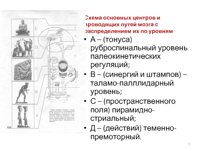 Уровни движений. Руброспинальный уровень палеокинетических регуляций. Палеокинетические регуляции это. Уровни по Бернштейну палеокинетических регуляций. Уровень пространственного поля.