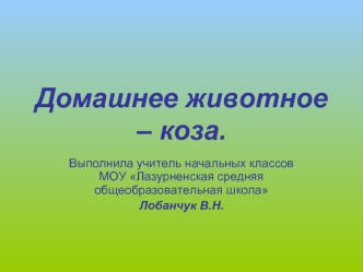 Домашнее животное – коза.