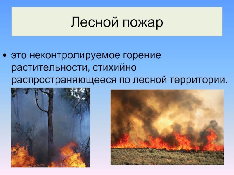 Природные пожары кратко. Лесной пожар это определение. Лесные пожары презентация. Пожар для презентации. Лесные пожары описание.