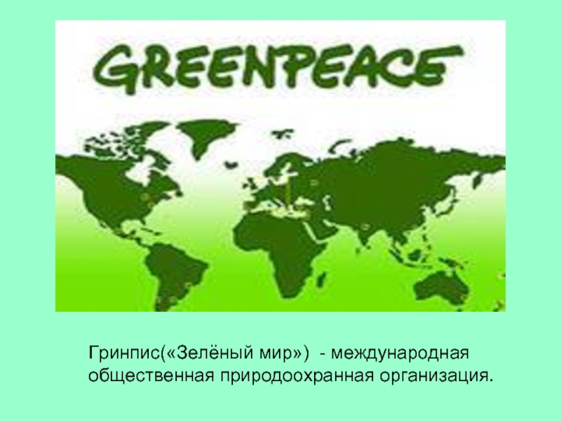 Реферат Greenpeace