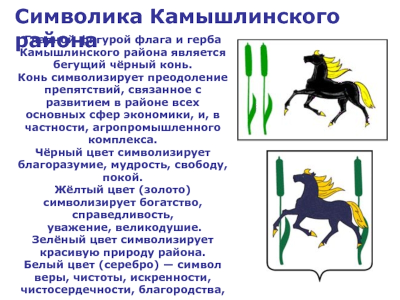 Конь символ. Герб Камышлинского района Самарской. Что символизирует лошадь. Символ Камышлинского района. Символ Камышлинский района Самарской области.