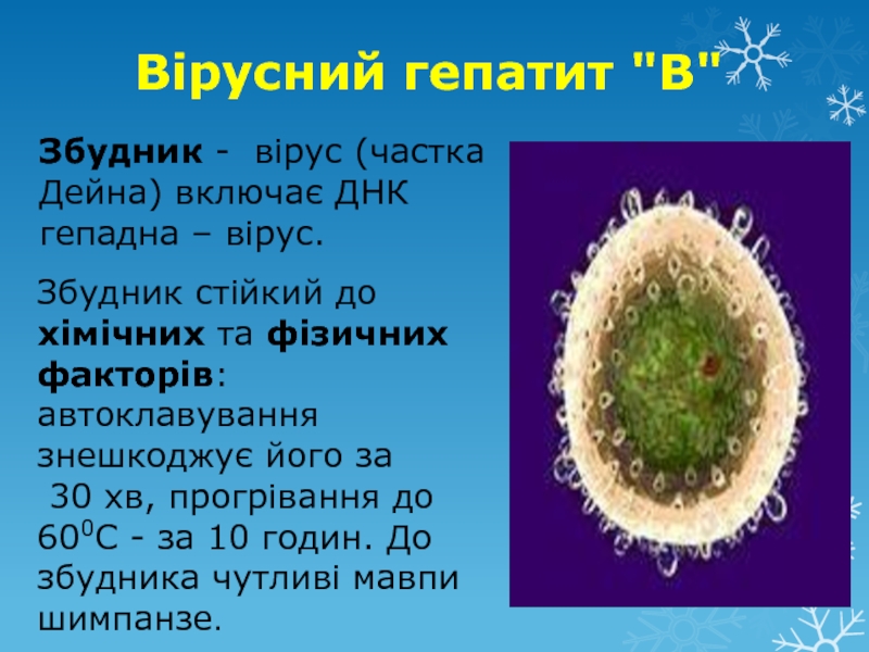Вирусный гепатит м. Вірусний гепатит а. Гепатит презентация. Вирусный гепатит f. Вирус гепатита f.