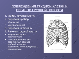 Повреждения грудной клетки и органов грудной полости